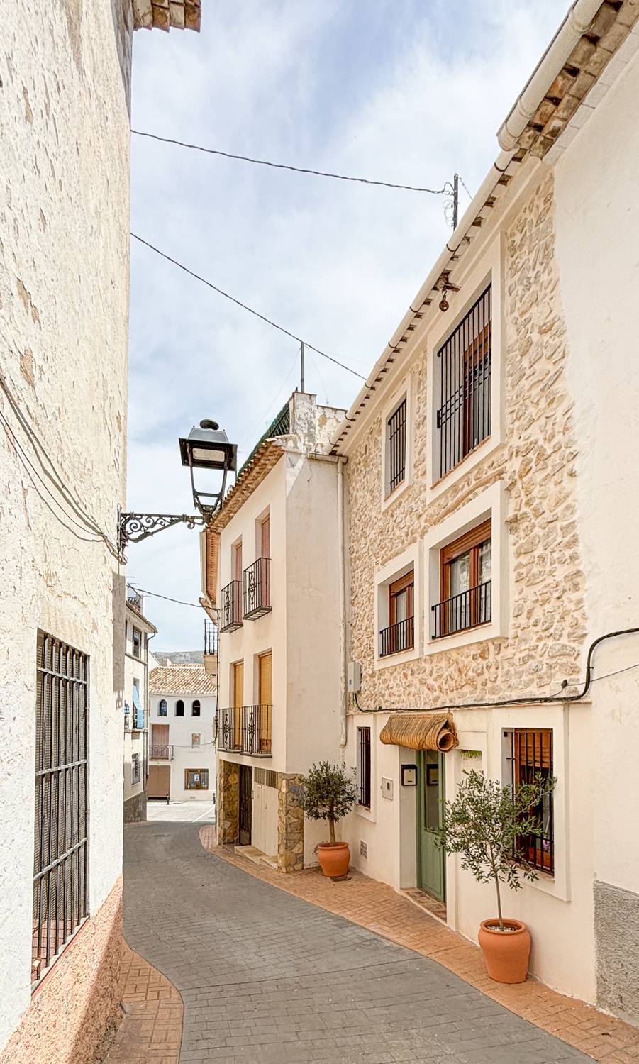 La casa en la calle Sant Josep: fachada de piedra, puerta verde y dos olivos en maceta.